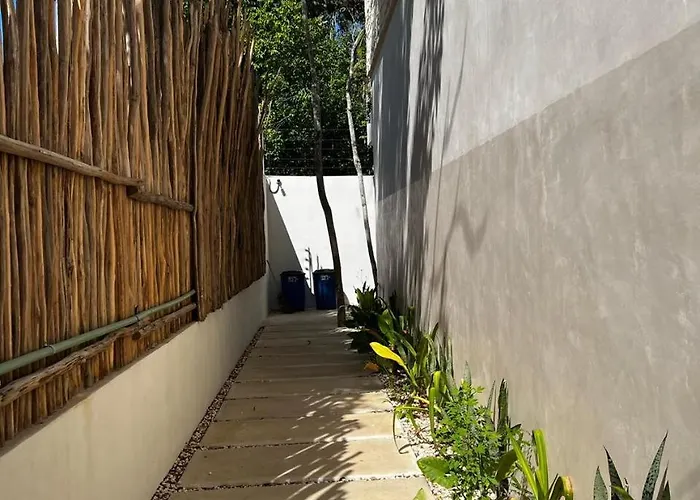 Estudios Paraiso S9 Tulum